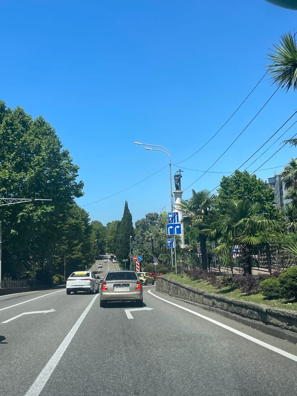 Dashcam-style view of a sunny Sochi road in summer