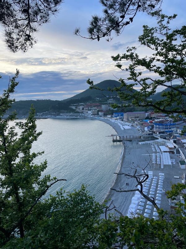 Coastal scenes and forest walks documented in Olginka, Russia