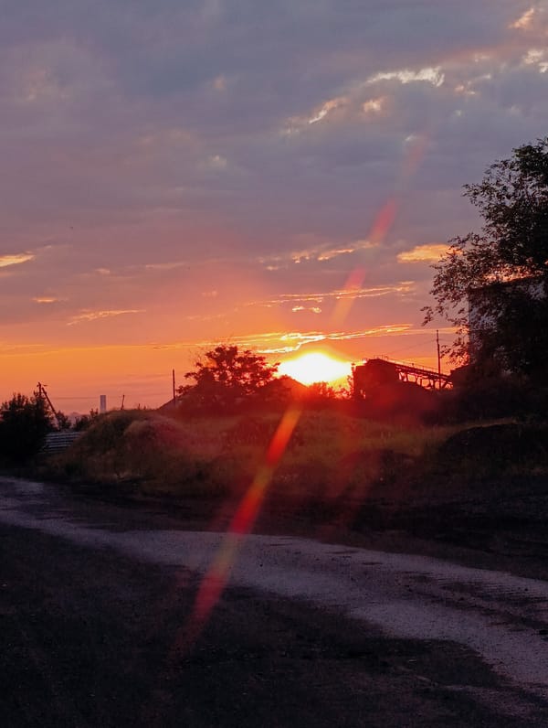 Colorful sunset sky over trees and open land