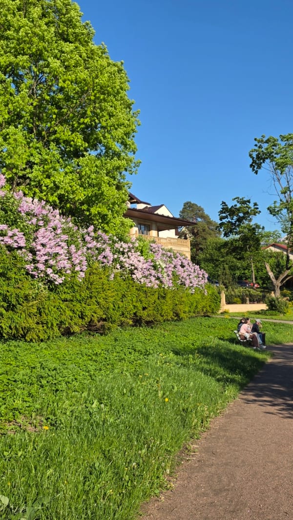 Spring day scenes documented across Gatchina, Russia neighborhoods