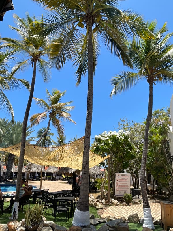 Recreational spaces documented at Porlamar resort facility