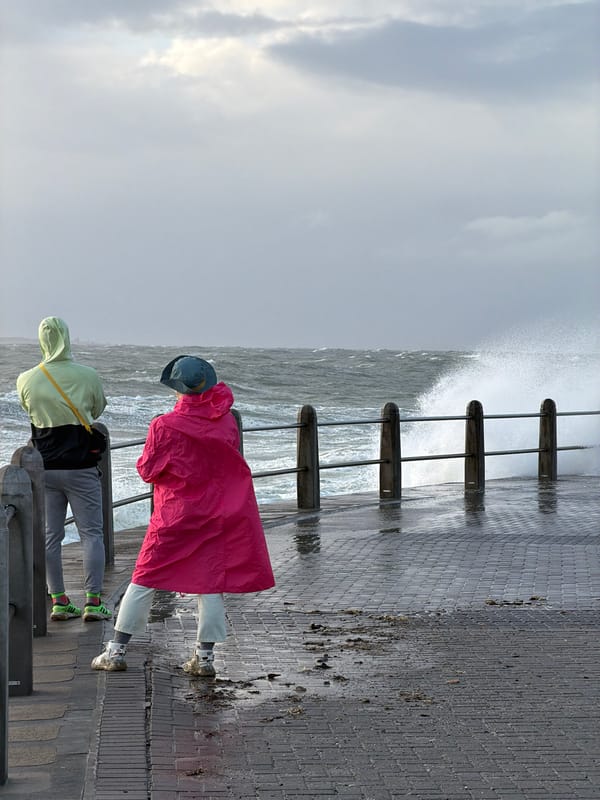 Rough seas draw observers to Cape Town waterfront