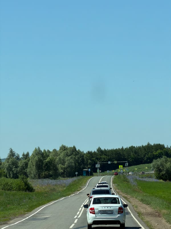 Rural Russian road trip with construction work and roadside flowers