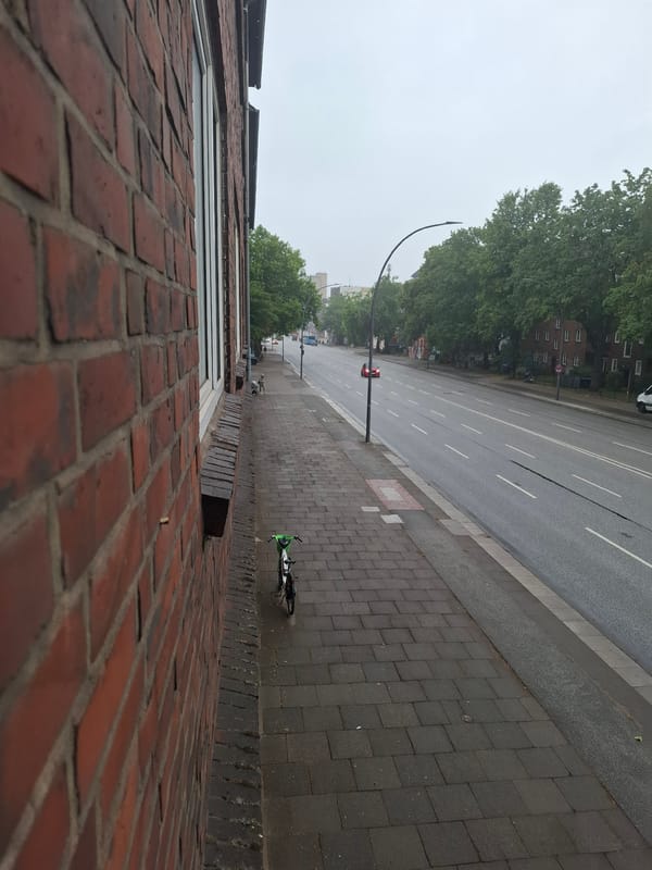 Rainy morning on a Hamburg balcony, geraniums and street views