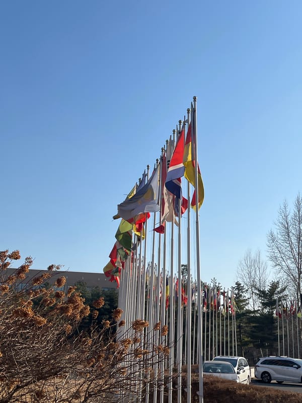Institutional building with international flags documented in Changchun