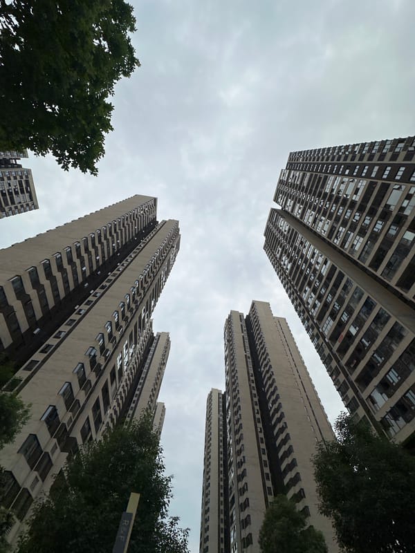 Witness documents Chongqing High-tech Zone urban landscape and greenery