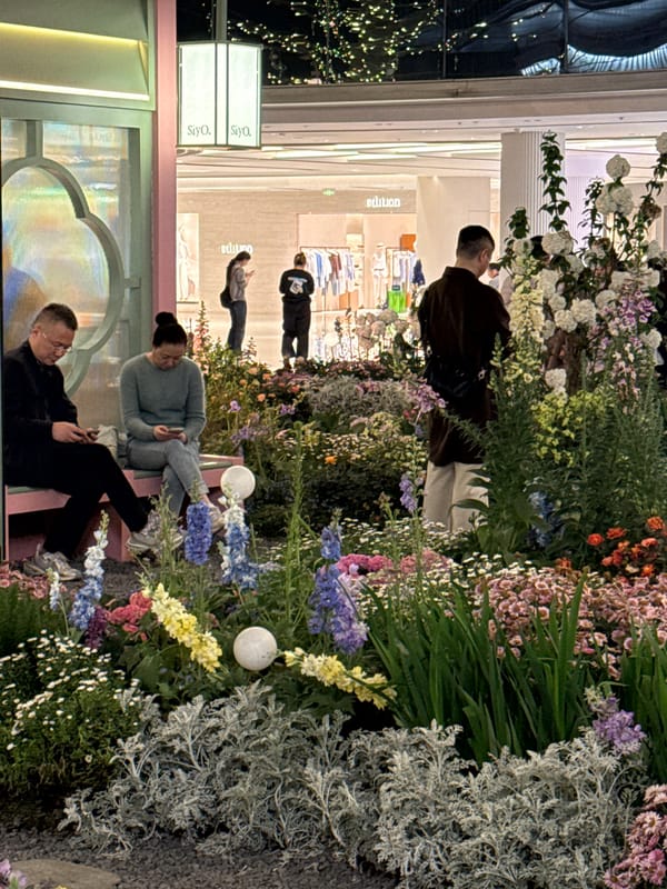 Evening shoppers stroll illuminated floral displays at Liangjiang mall