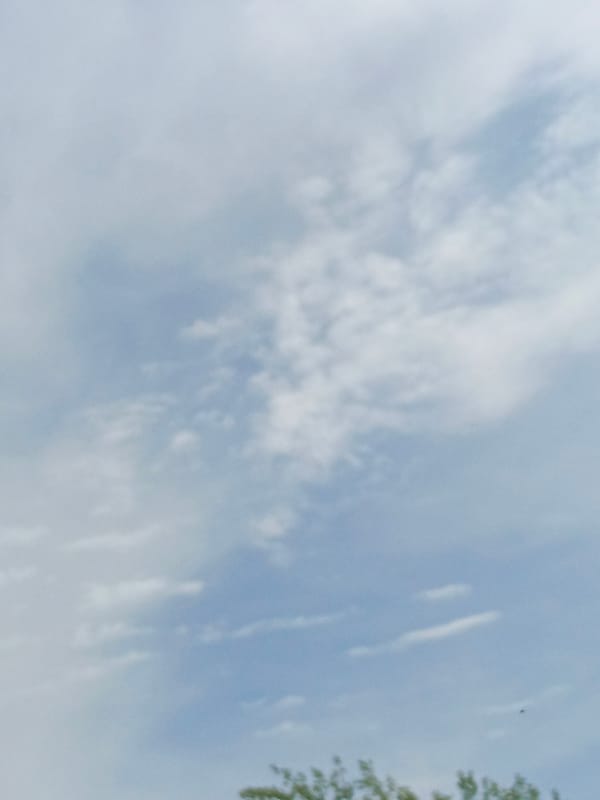 Early morning scenes: cloudy sky and resting cat documented
