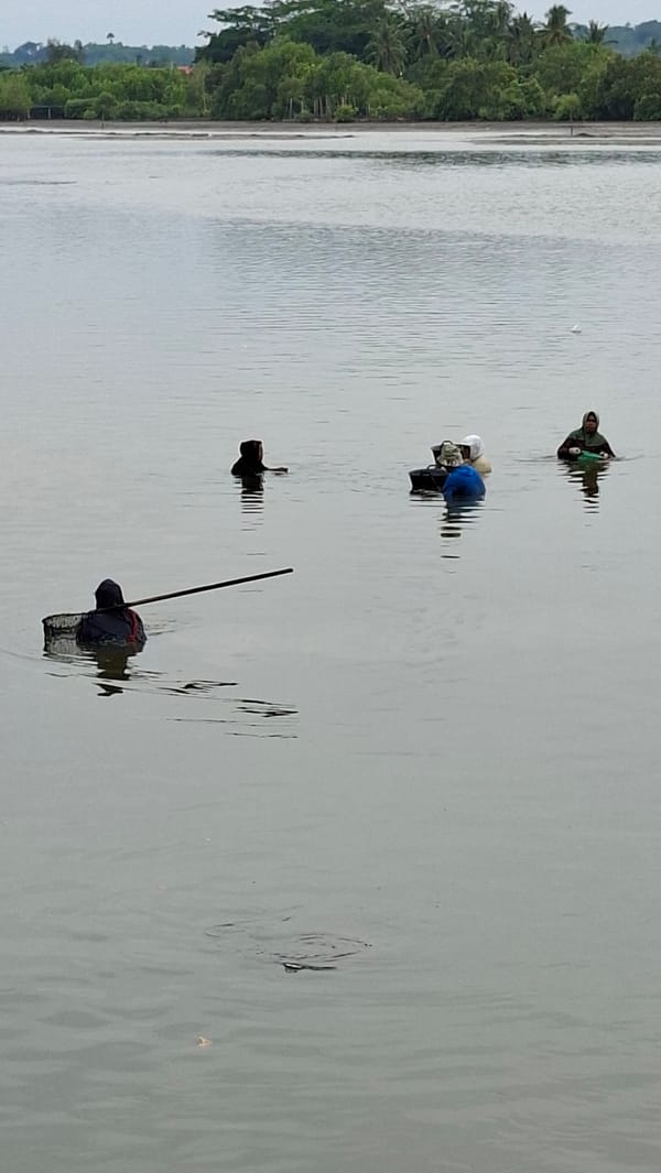 Fishing and foraging along a tidal flat in Lhokseumawe