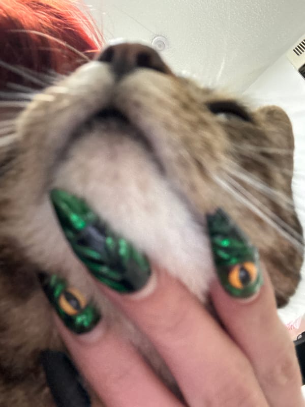 Pet owners capture intimate moments with cats in Desborough