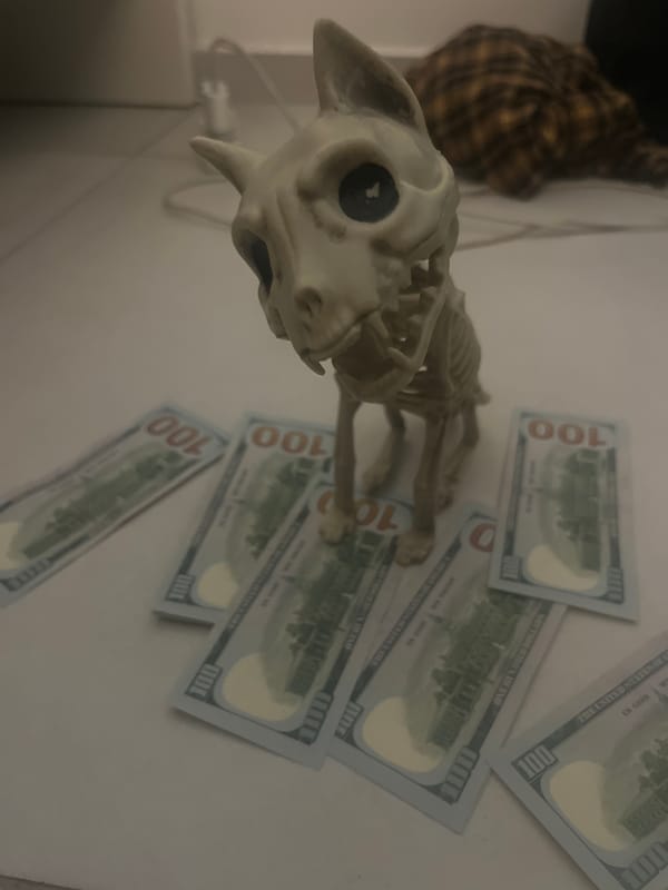 Toy skeleton dog photographed with $100 bills in Ramat Gan