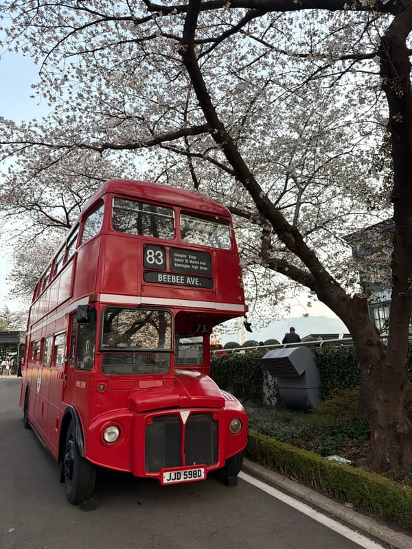 Cherry blossoms and vintage displays attract visitors at Daegu E-World