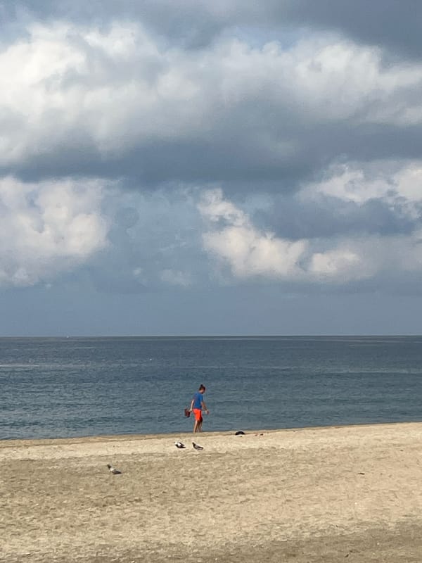 Morning moments documented across Alanya's beaches, streets, and gardens