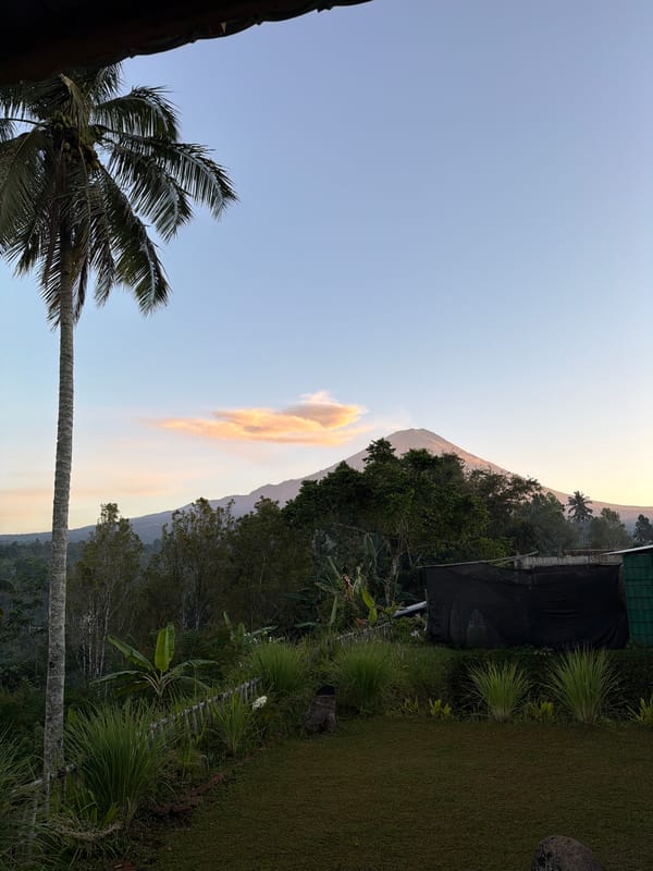 Dusk settles over a tropical palm landscape in Sidomulyo