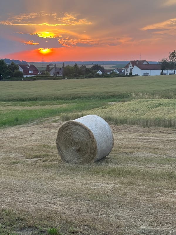 Golden hour over Neustadt fields and gardens