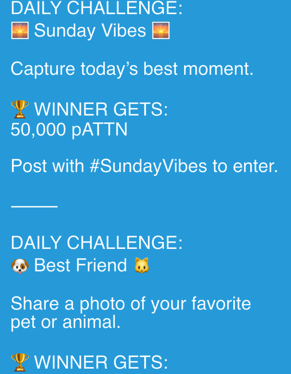 Daily challenge posts and backyard snapshots from rural Poland