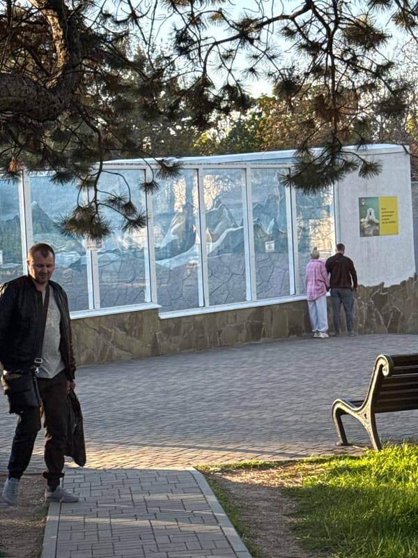 Visitors enjoy afternoon at Rostov Zoo viewing camels and animals