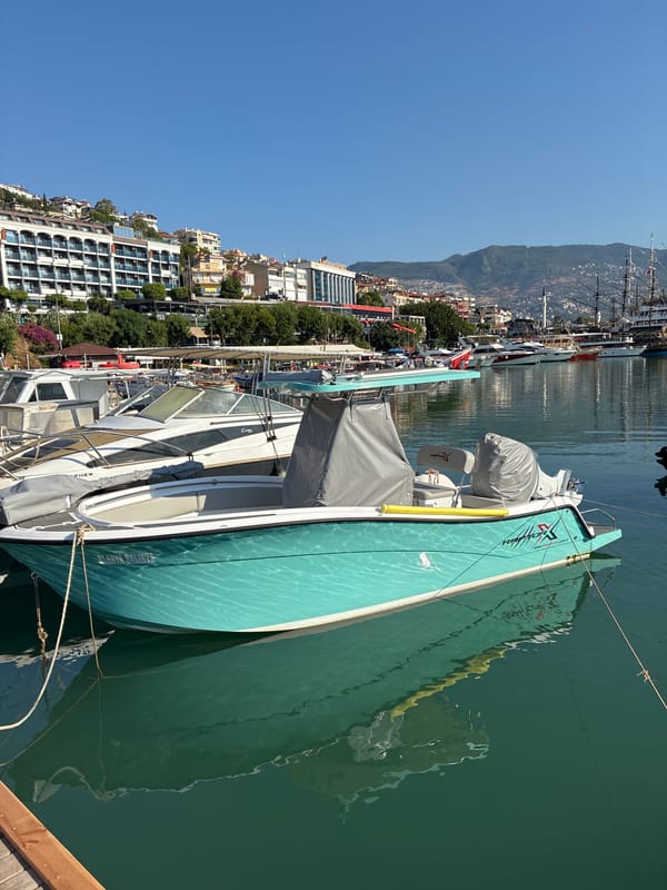 Alanya harbor on a sunny morning, boats to cats