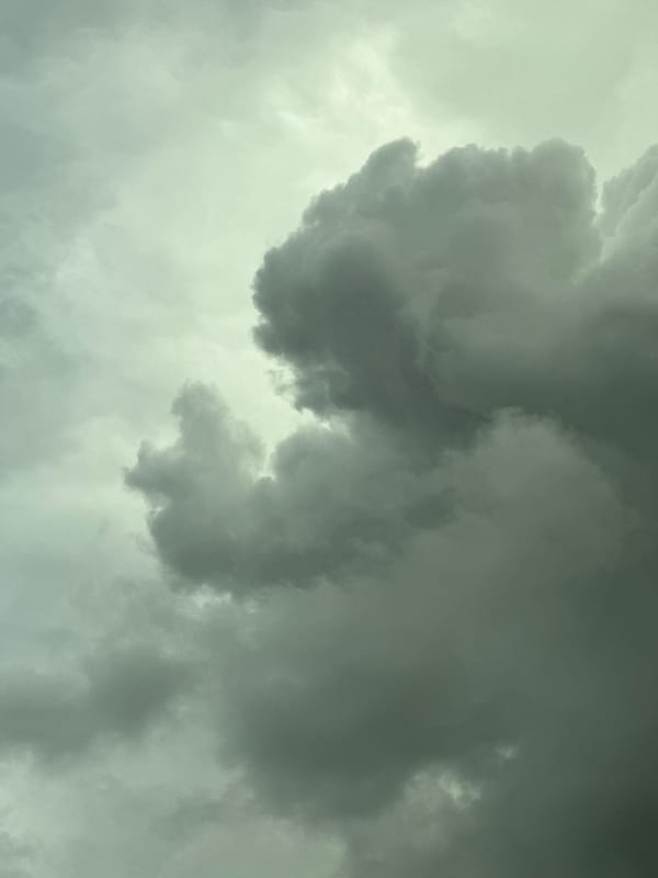 Overcast skies observed in New Westminster overnight