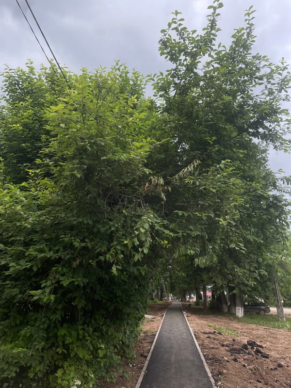 New pedestrian pathway documented in Sharkan, Russia