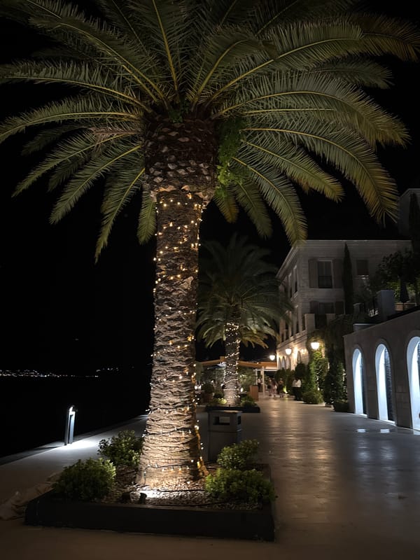 Nighttime stroll along a lit waterfront promenade