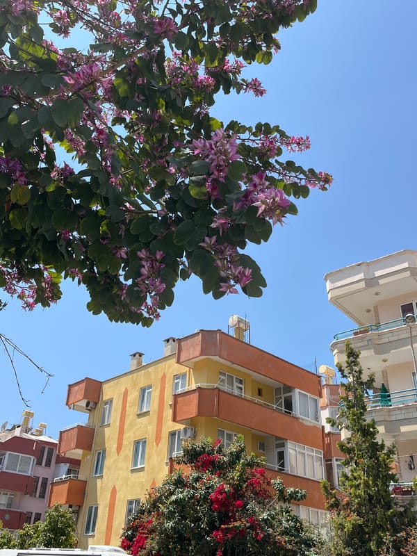 Spring morning street life documented across Alanya, Turkey
