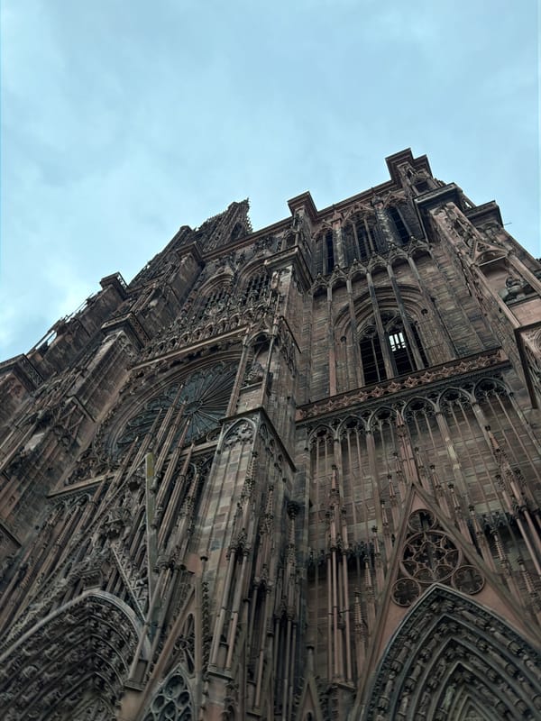 Tourist documents afternoon stroll through historic Strasbourg landmarks and cafes