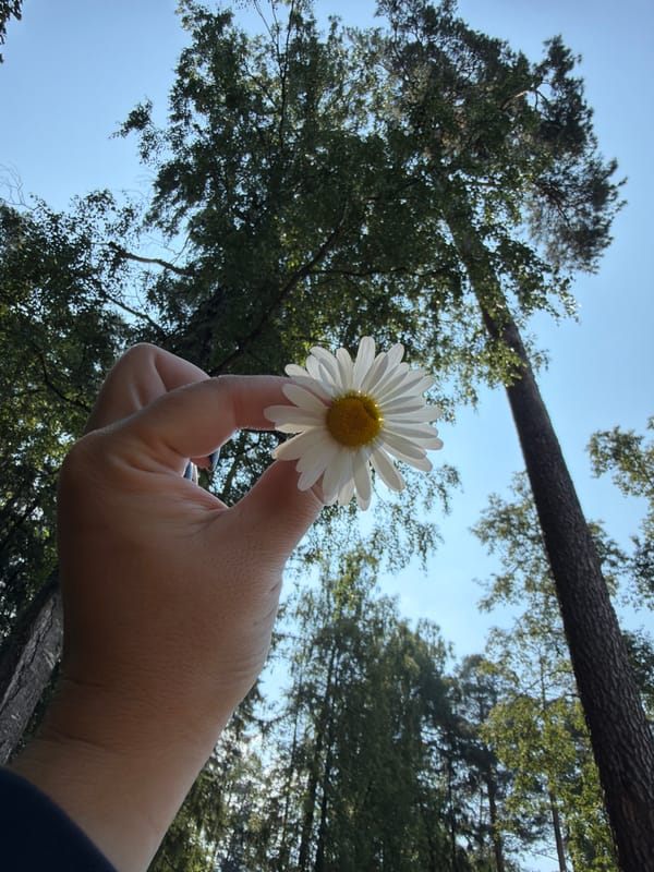 Summer morning bike ride through Chaikovsky's forest paths