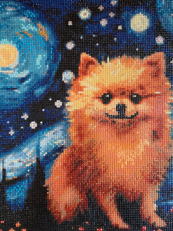 Artist documents collection of dog diamond paintings and floral works