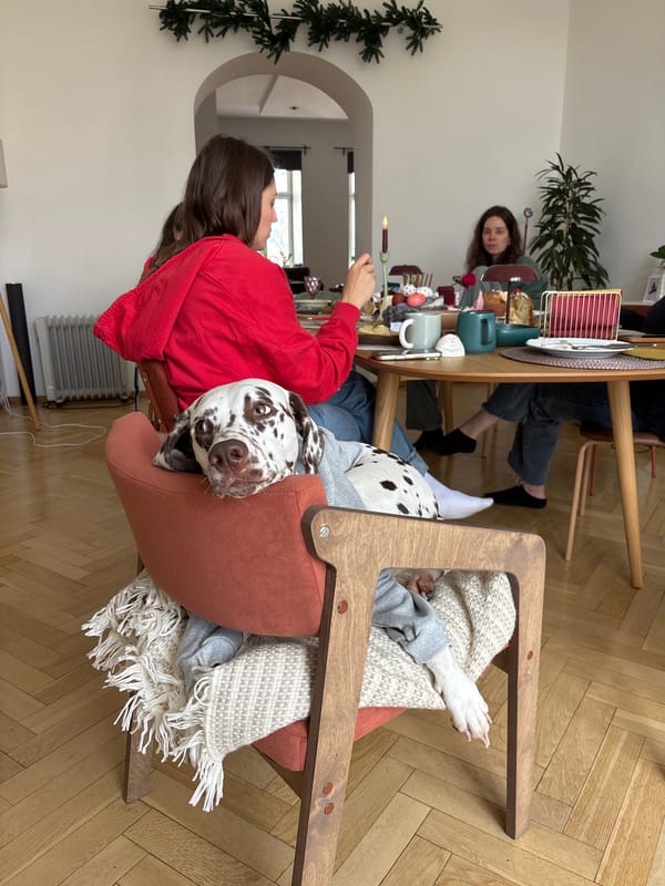 Women share meal with Dalmatian dog in Moscow gathering