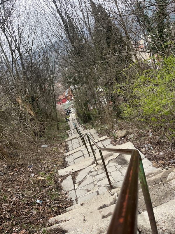 Concrete staircase through wooded area in Vladaya, Bulgaria
