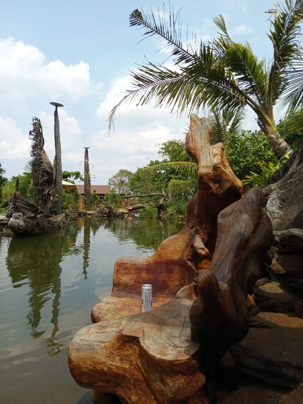 Peaceful pond with wooden features documented in Chư Sê