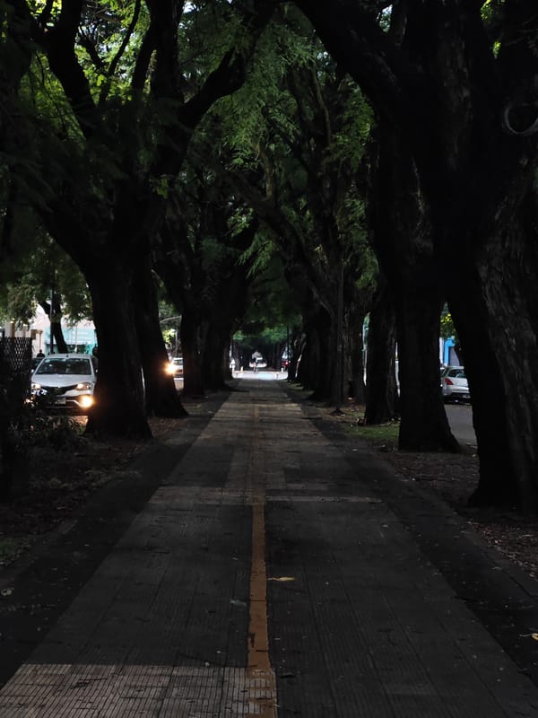 Tree-lined pedestrian walkway photographed in La Plata, Argentina