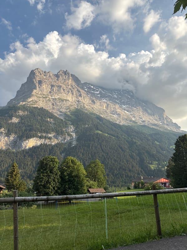 Grindelwald village and alpine peaks on a clear June evening