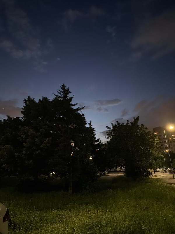 Evening domestic life documented in Sofia with cats and snails