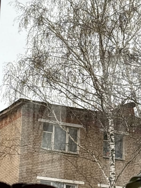 Brick building viewed through window in Klin, Russia