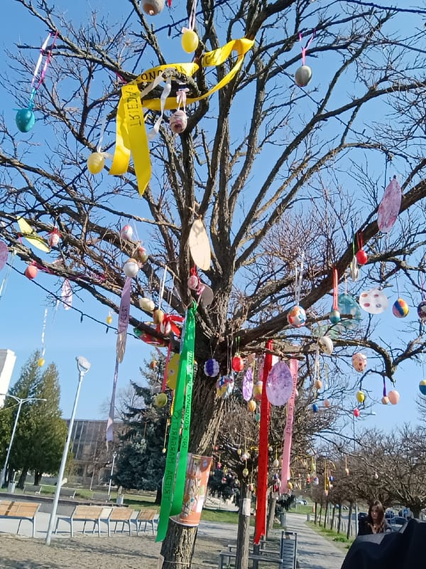 Decorated oak tree observed in Levice public park