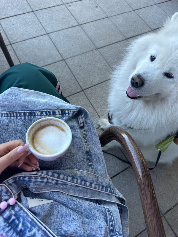 Morning moments captured in Bar, Montenegro café and seaside