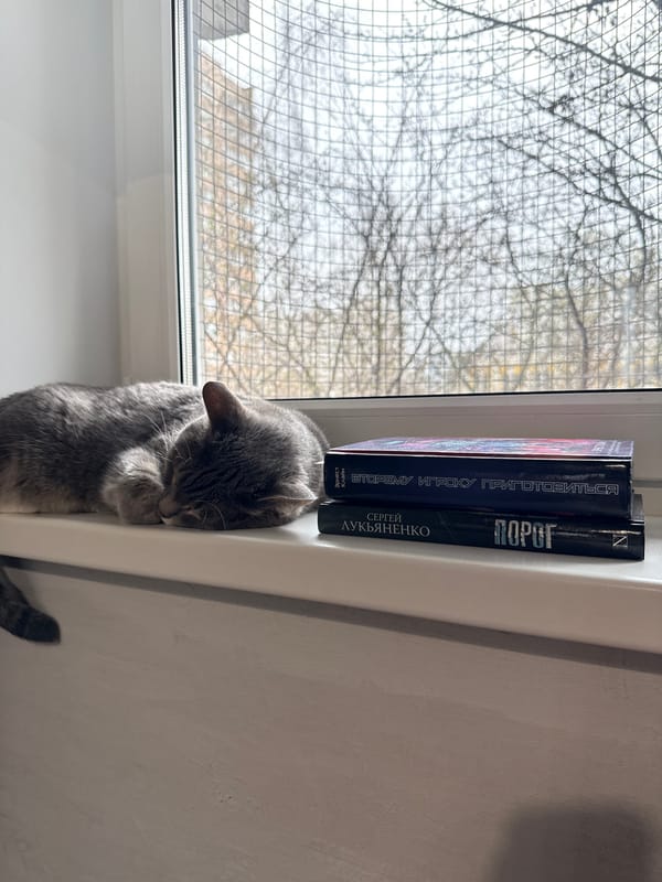 Gray cat spotted resting in Moscow home locations
