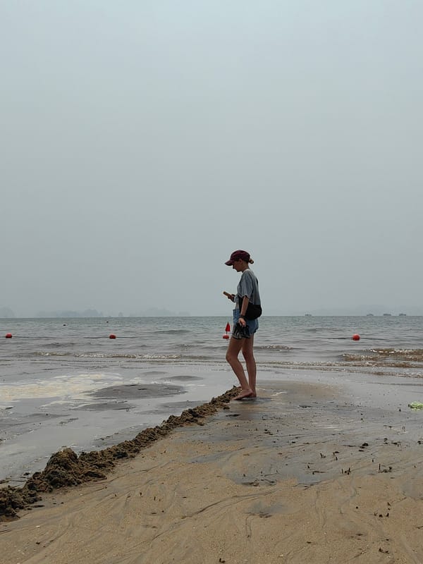 Metal robot sculpture spotted amid construction in Vietnamese beach ward