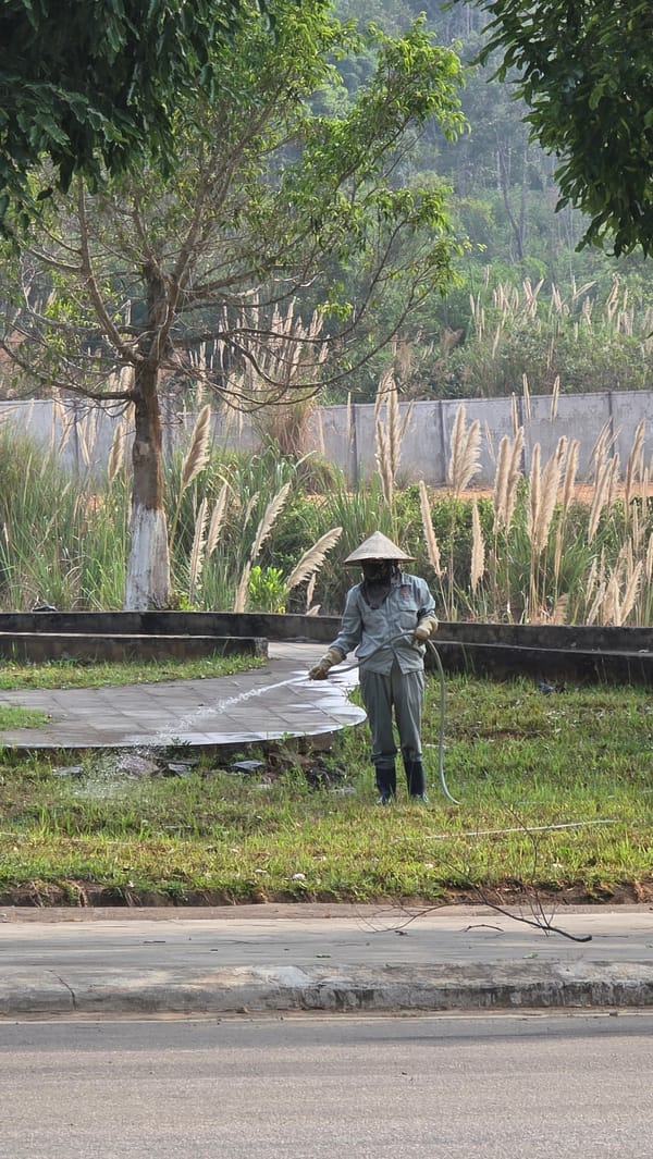 Outdoor laptop use and maintenance activity observed in Bo Y