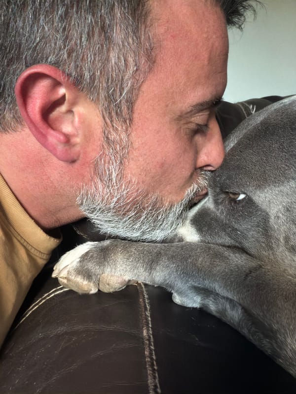 Quiet afternoon moments captured in Luxembourg homes and spaces