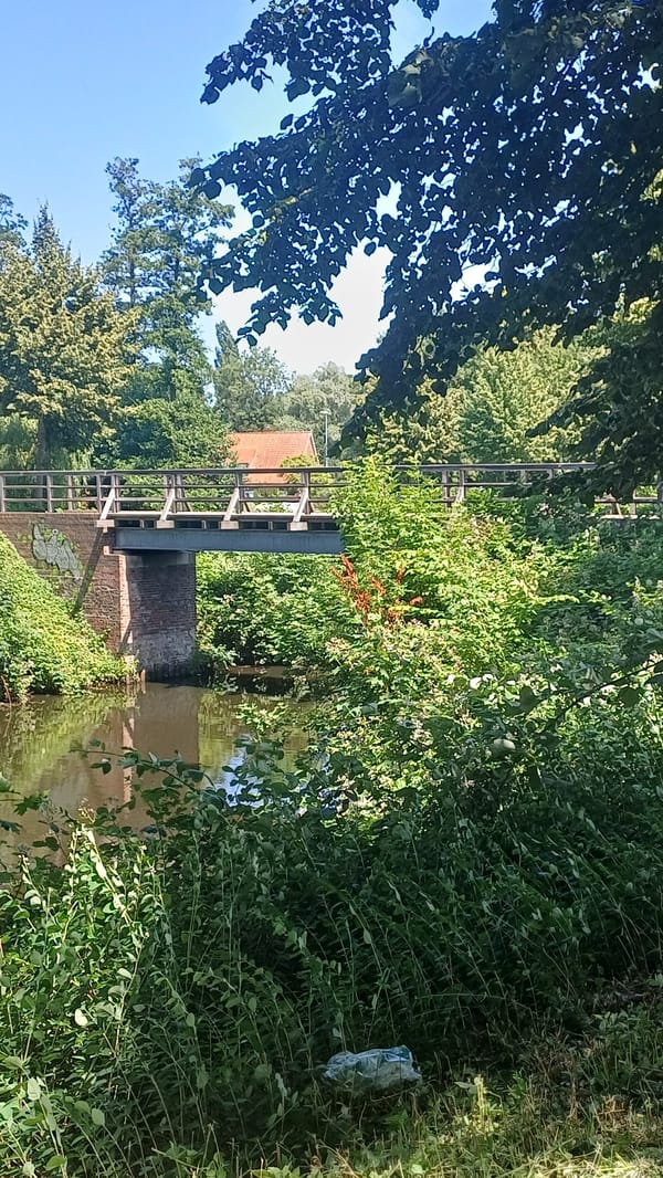 River, pier, and brick building along a tree-lined waterway