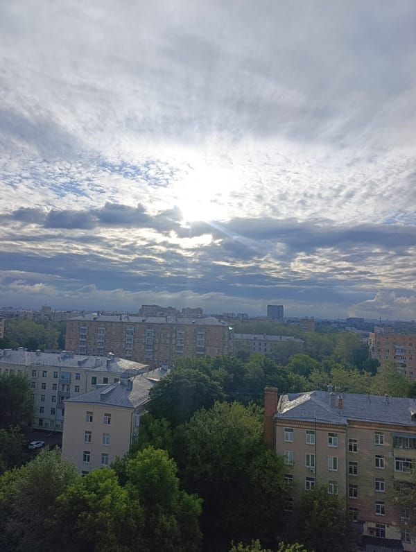 Moscow apartment morning: city views, a cat, and houseplants