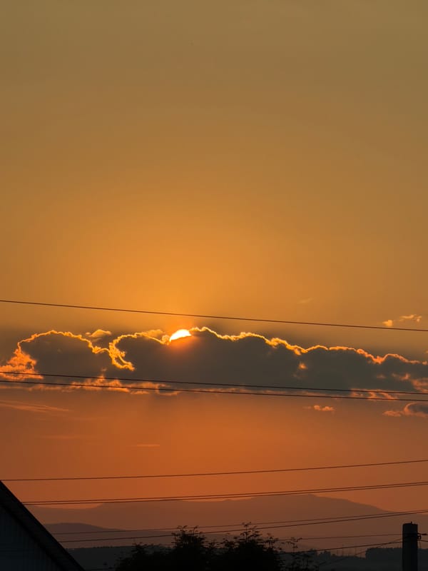 Golden hour across a quiet rural landscape at dusk