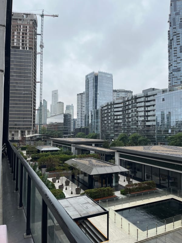 Buenos Aires scenes: Puerto Madero district, indoor dog sighting