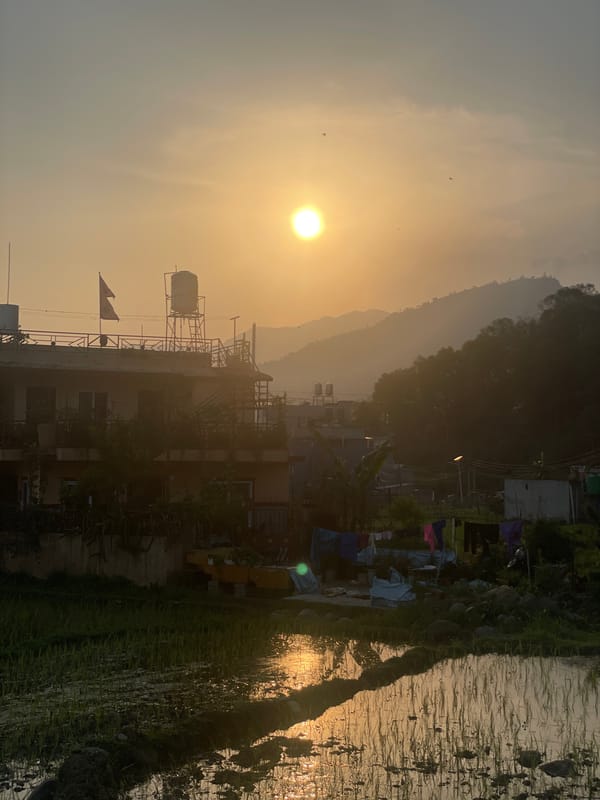 Sunset scenes captured across Pokhara's rural landscape and agriculture