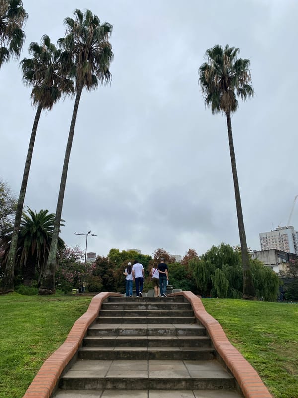 Afternoon scenes across Buenos Aires parks, markets, transit