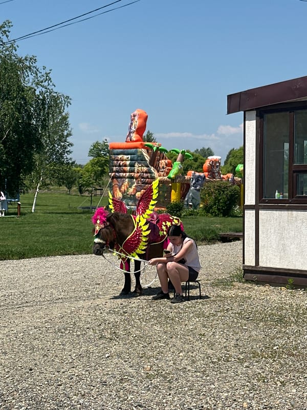 Summer lakefront festival draws families to Ussurijsk park