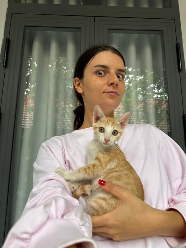 Holding a ginger kitten in Mũi Né, Vietnam